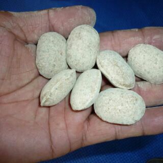 Phân bón nhật tan chậm NPK 12-6-6+2 Mg