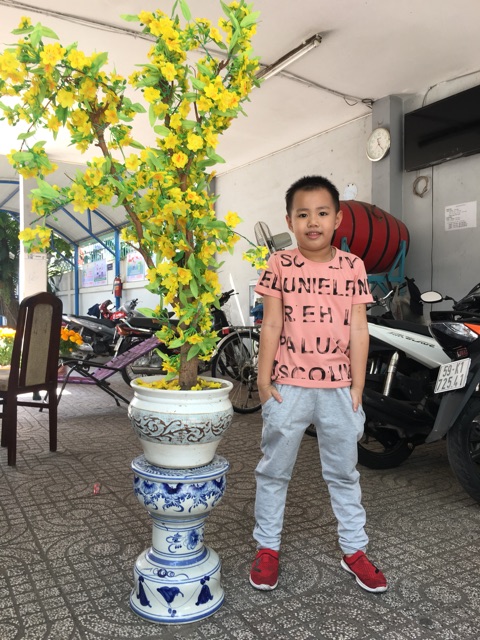 Quần túi xếp li cho bé trai bé gái Q005