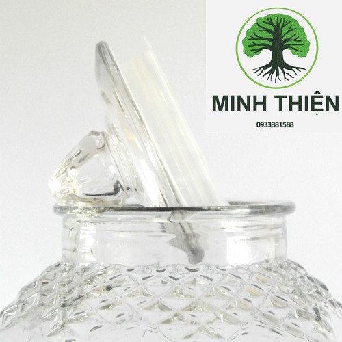 Bình thủy tinh ngâm rượu Kim Cương 10L