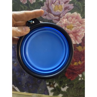 BÁT DU LỊCH CHÓ MÈO