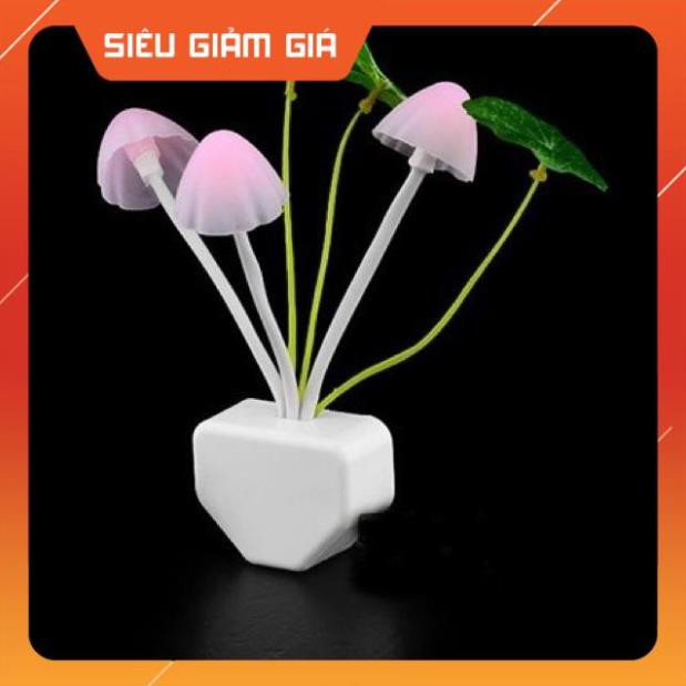 Đèn ngủ Led cảm biến ánh sáng hình Nấm
