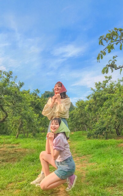 [Mã FAGOGO giảm 12% đơn 99K] Khăn bandana đội đầu 50x50cm | BigBuy360 - bigbuy360.vn