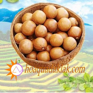 Hạt mắcca DakLak 500gr