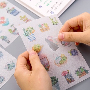 Set 6 tập sticker trang trí cây xương rồng Cantus