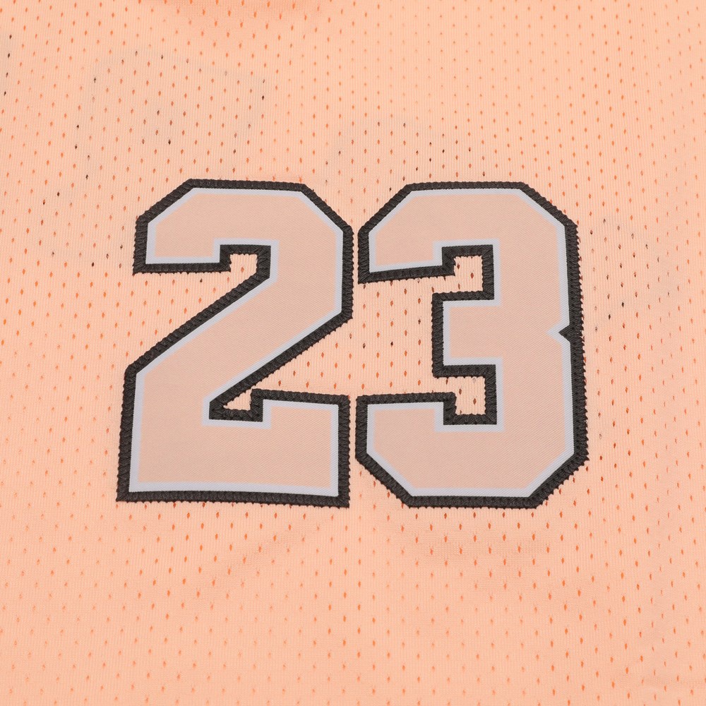 Áo Thun Thể Thao Nam AJ JORDAN Phối Lưới AO2827