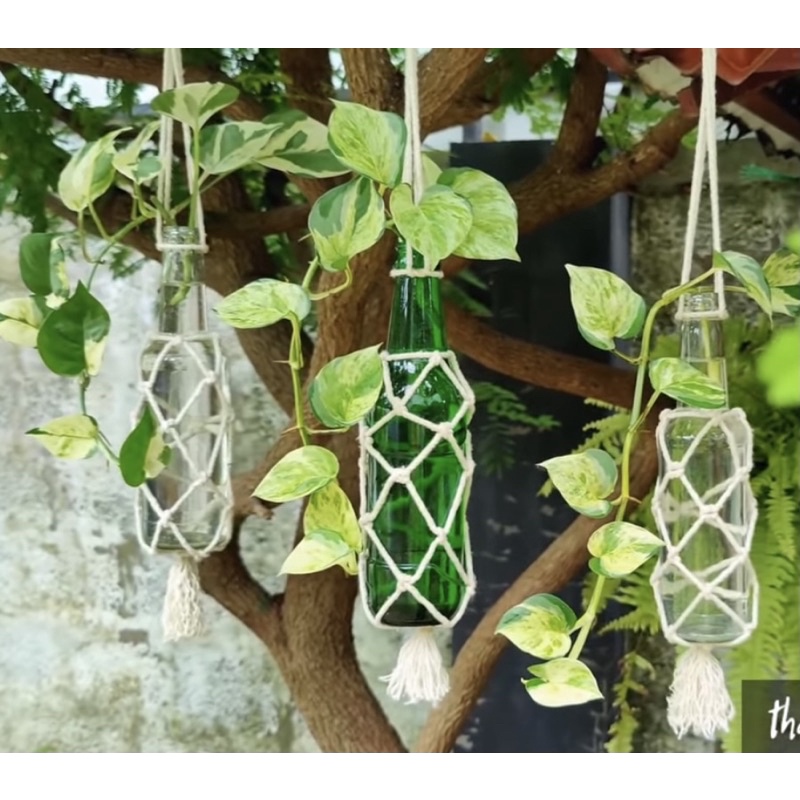 Lọ hoa treo thuỷ tinh