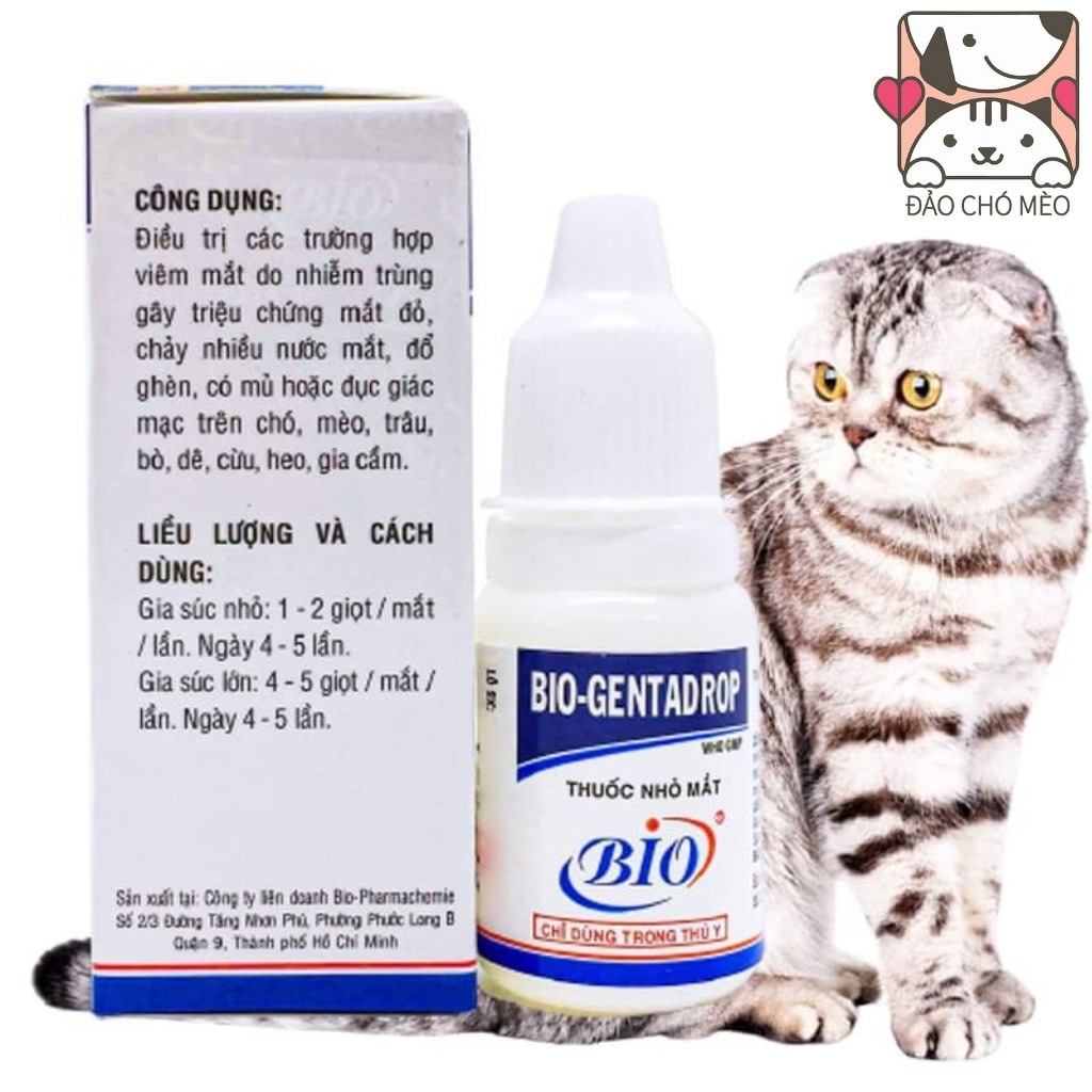 Nhỏ mắt chó mèo Bio Genta chữa đỏ mắt , ghèn mắt, mắt có ghèn đục giác mạc Bio Gentadrop 10ml - Đảo Chó Mèo