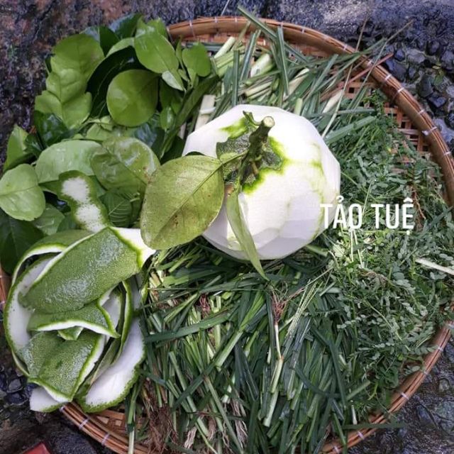 Dầu gội đầu Thảo mộc