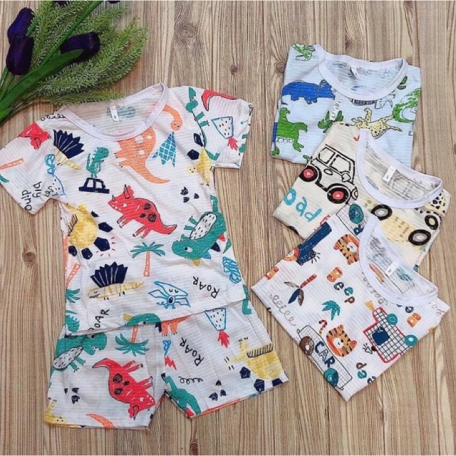 Combo 5 bộ cotton tre