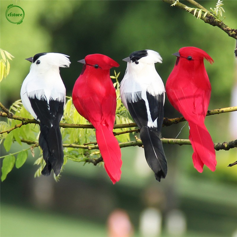 Lông vũ trang trí sân vườn
