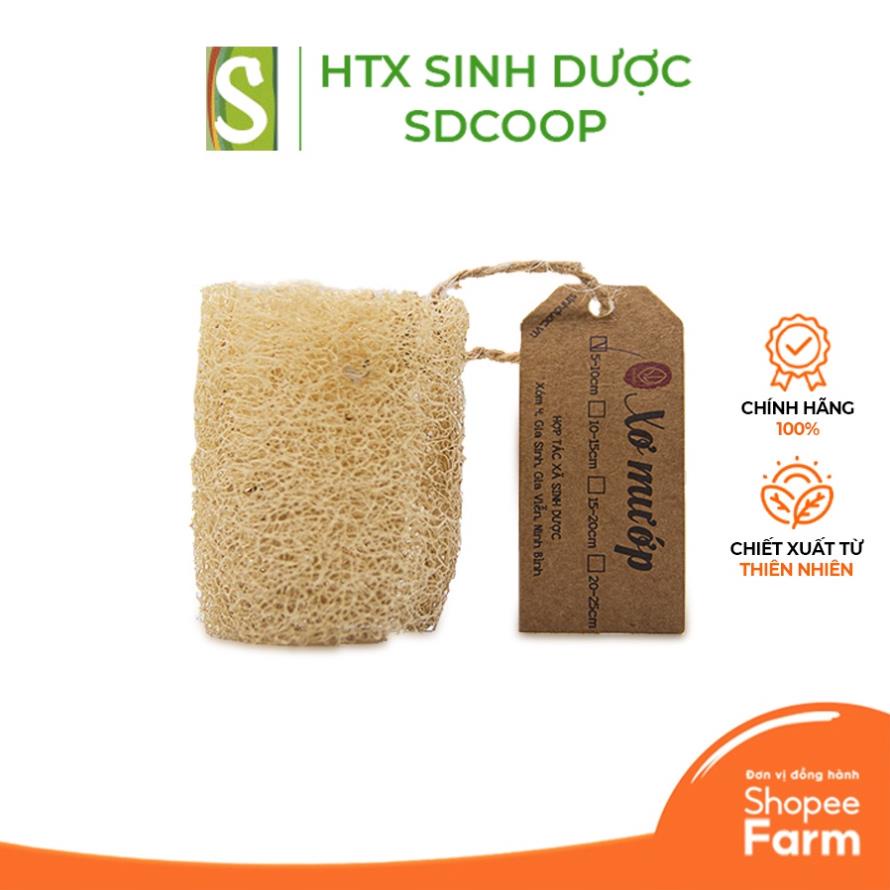 Xơ Mướp Khô Tự Nhiên HTX Sinh Dược 5-10cm -Xanh house