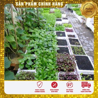 COMBO 10 gói hạt giống rau trồng thung xốp dễ trồng tặng 1 phân bón