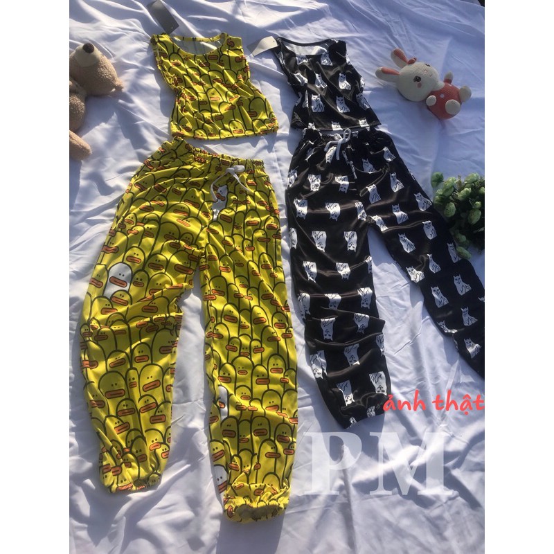 SÉT BA LỖ MÈO VỊT DỄ THƯƠNG