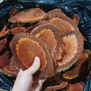 CỎ MÁU 1KG, CÂY CỎ MÁU GIÚP TĂNG CÂN BỔ HUYẾT