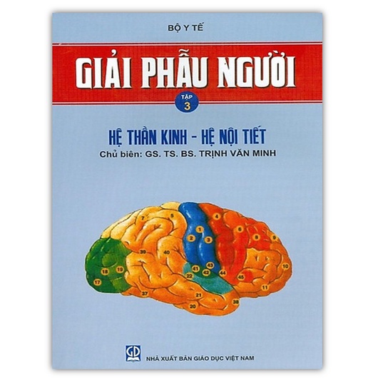 Sách - Combo Giải Phẫu Người Tập 1 + 2 + 3 (DN)