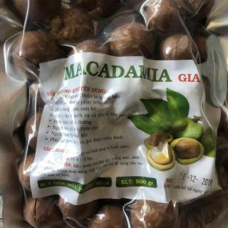 Hạt mắc ca Damia sấy nứt vỏ, trồng và sản xuất tại Gia Lai, không hoá chất - gói 0.5 Kg