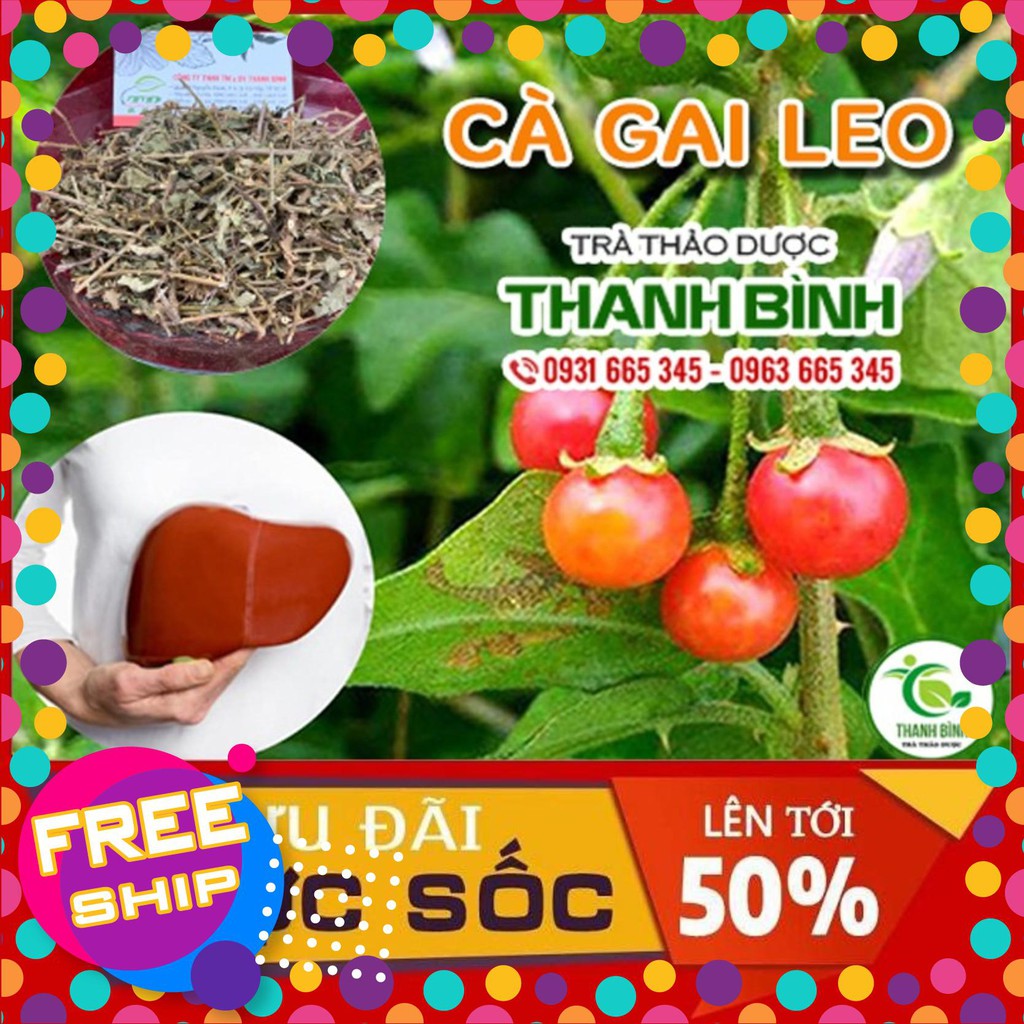 Cà Gai Leo 100g - Loại Xịn Hàng Công Ty