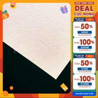 Giấy canson truyền thống 250gsm - lẻ/ tờ