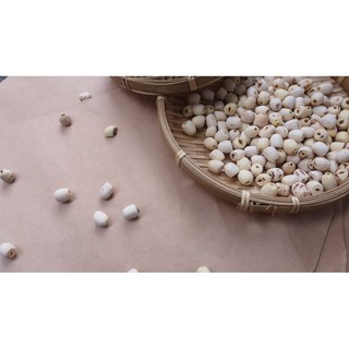 Hạt sen khô Đồng Tháp 480g