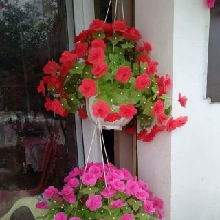 Combo 5 bộ nguyên liệu hoa giấy gấm+ 5 chậu treo