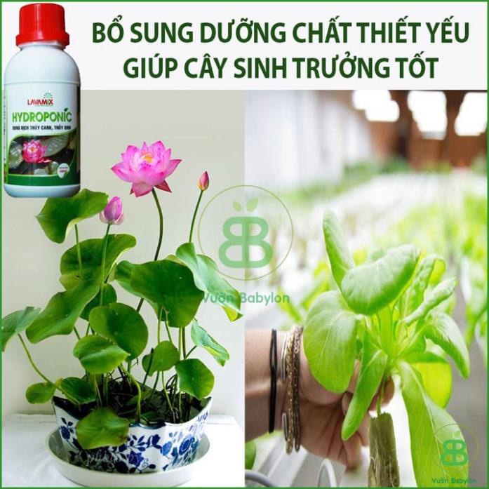 (NEW) Dung Dịch Trồng Thủy Canh Cho Sen Mini Hydroponic 100ML