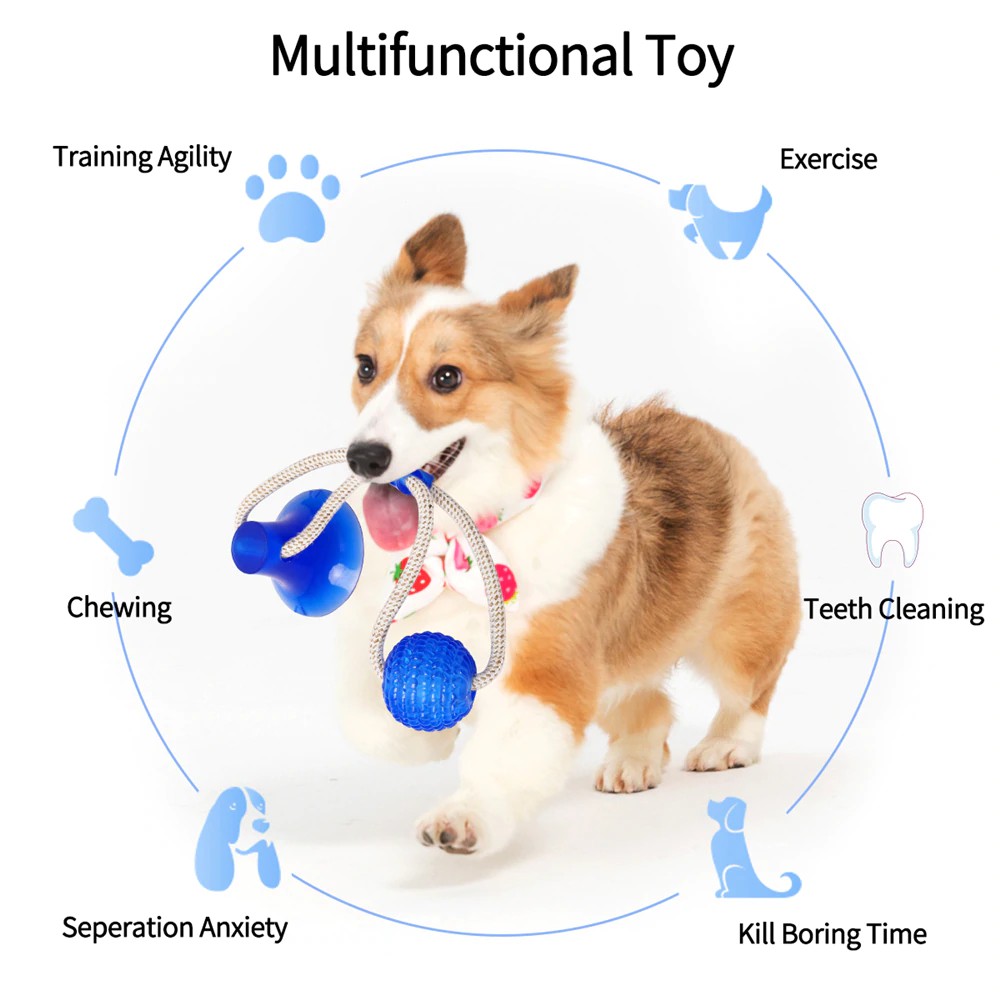 Pet Molar Bite Dog Toys Rubber Chew Ball Cleaning Teeth Safe Elasticity Soft Suction Cup