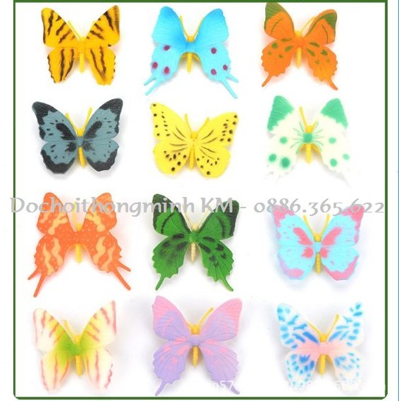 Set 12 loài bướm đủ màu cho bé học khám phá