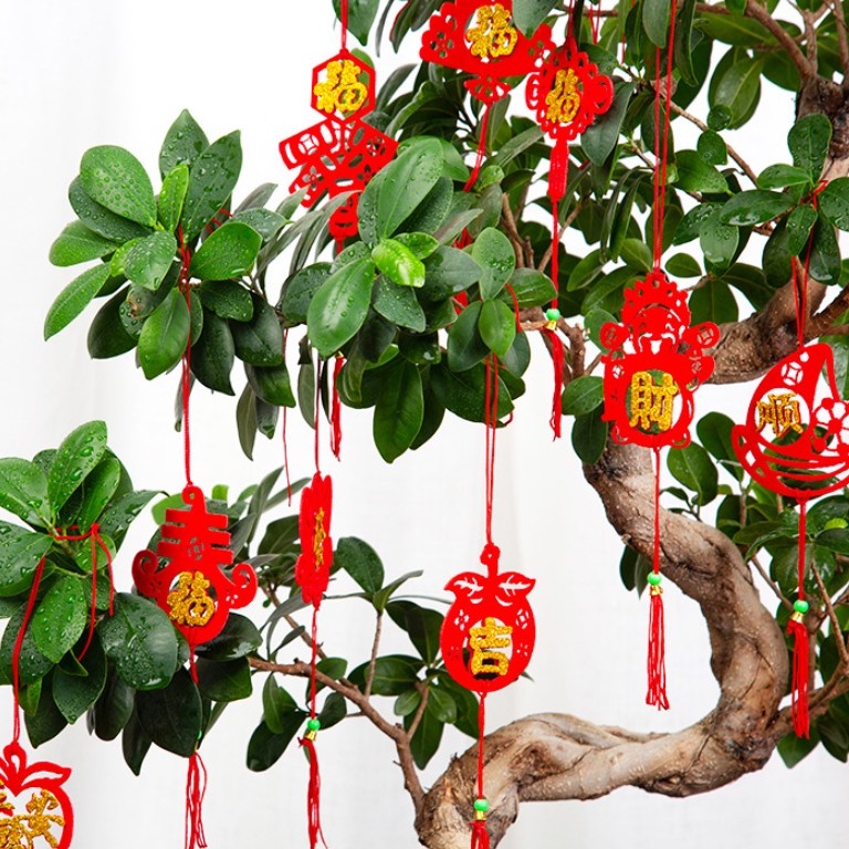 Phụ Kiện Bắt Mắt Cá Trang Trí Nhà Cửa