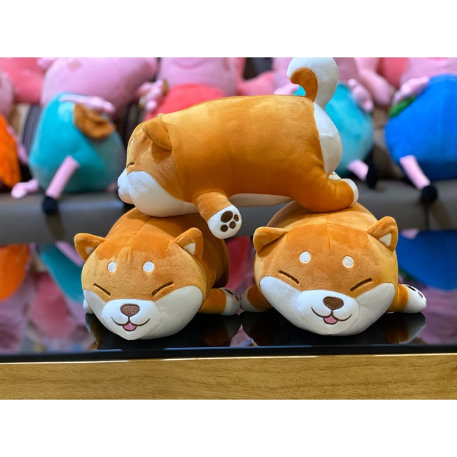 Chó Shiba, Pony hồng