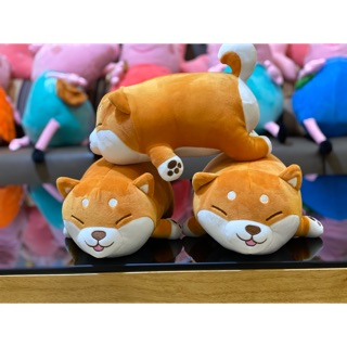 Chó Shiba, Pony hồng