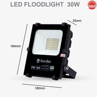 Đèn Led chiếu pha 30w Rạng Đông