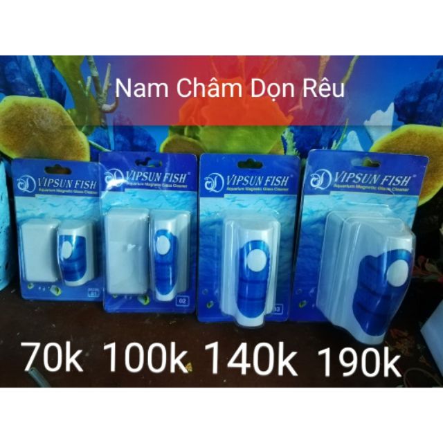 Ve sinh hồ kính bằng nâm châm