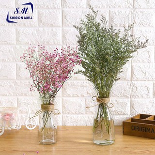  Bình Bông Lọ Hoa Thủy Tinh EO LỚN hoặc eo nhỏ - bình thuỷ tinh cắm hoa để bàn cực xinh 