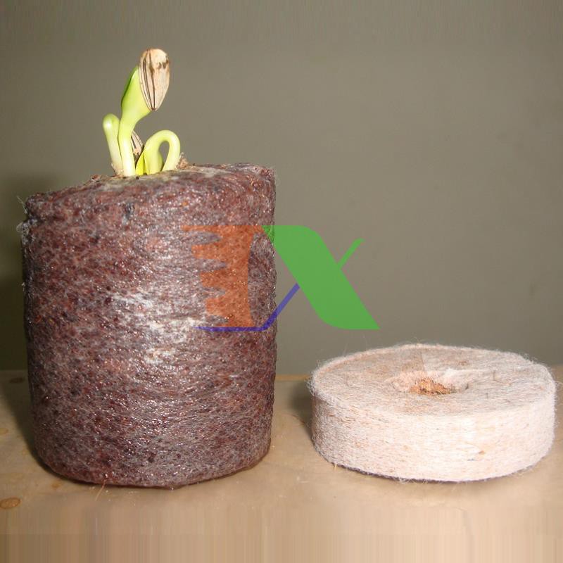 Hộp 200 Viên nén ươm hạt, viên nén xơ dừa