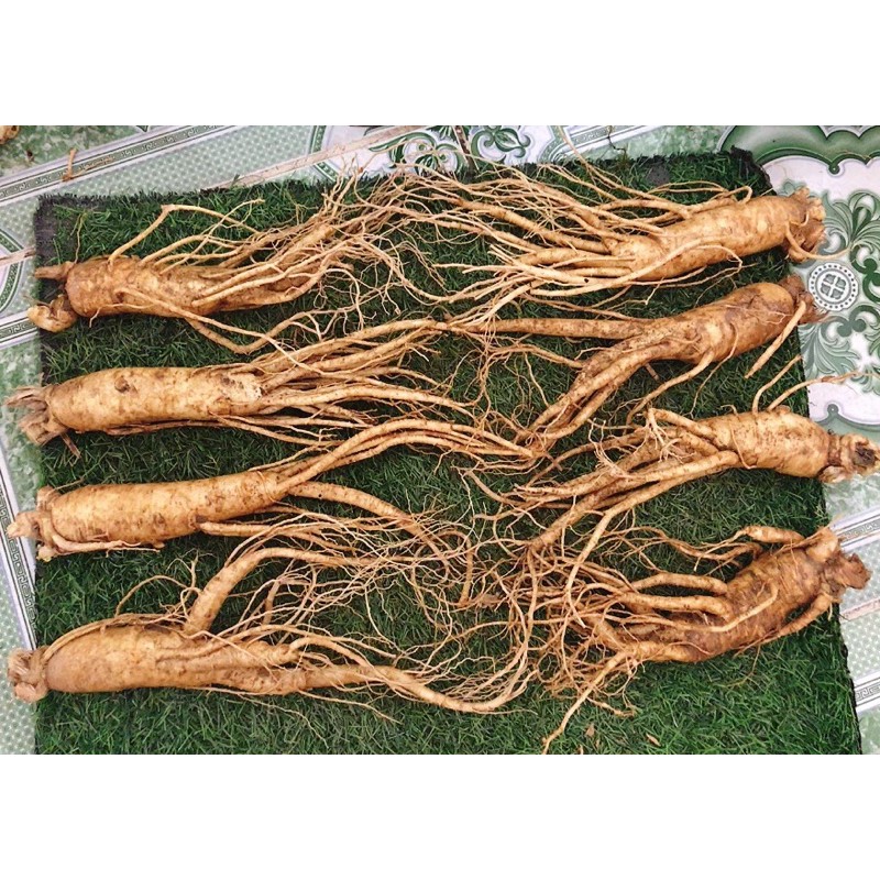 Sâm tươi Hàn Quốc 250k/1 củ size 8 củ 1kg | BigBuy360 - bigbuy360.vn