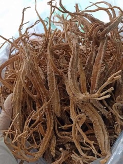 Đẳng sâm rừng khô. 1kg