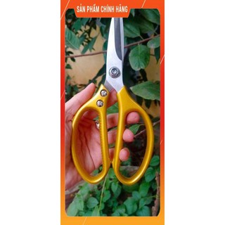 Kéo cắt gà Nhật sk5 cán vàng