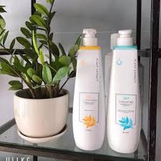 PROSEE LEO SELECTIVE  dầu gội và xả siêu mượt mà