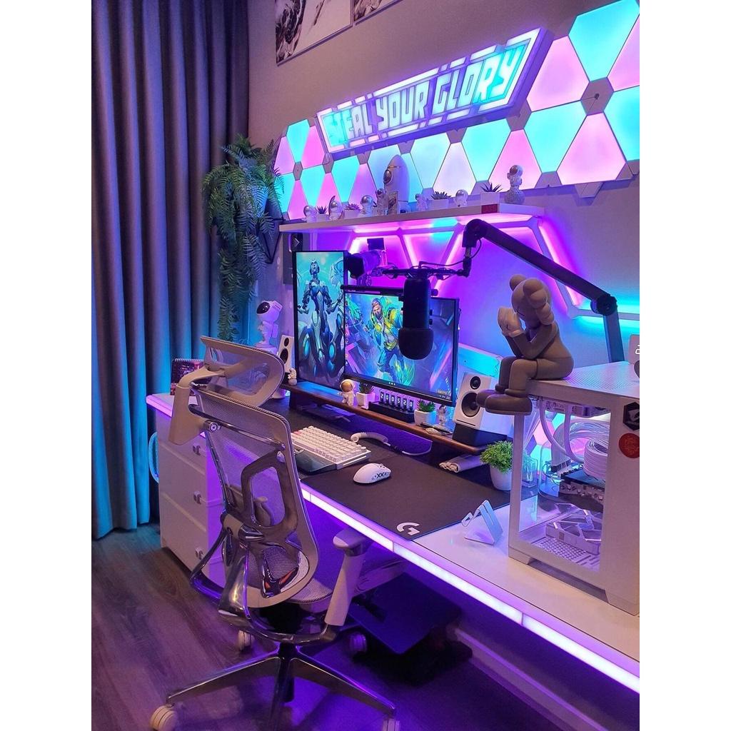 Ghế làm việc GTchair Dvary Butterfly văn phòng siêu êm ái thiết kế chuẩn Công Thái Học, bảo vệ tốt cột sống, ngả 160 độ