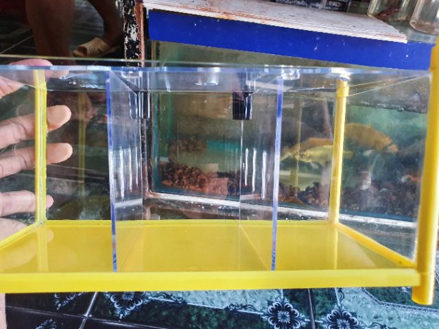 BỂ NHỰA NUÔI LIA THIA 3 NGĂN DÀI 30CM RỘNG 12CM CAO 15CM