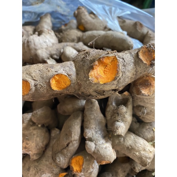 1kg Củ nghệ tươi, nghệ già vàng - tươi ngon mỗi ngày