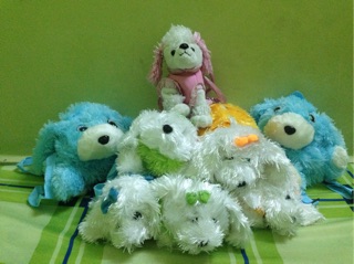Set gấu teddy