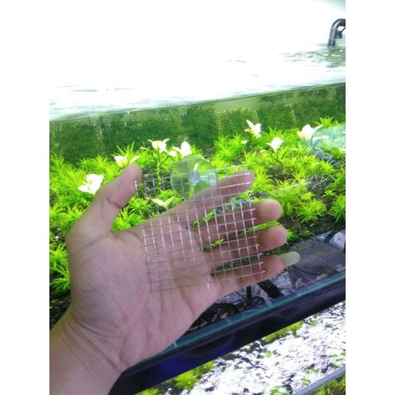 Vì inox buộc rêu - 100% inox chống gỉ - Vỉ ươm cây