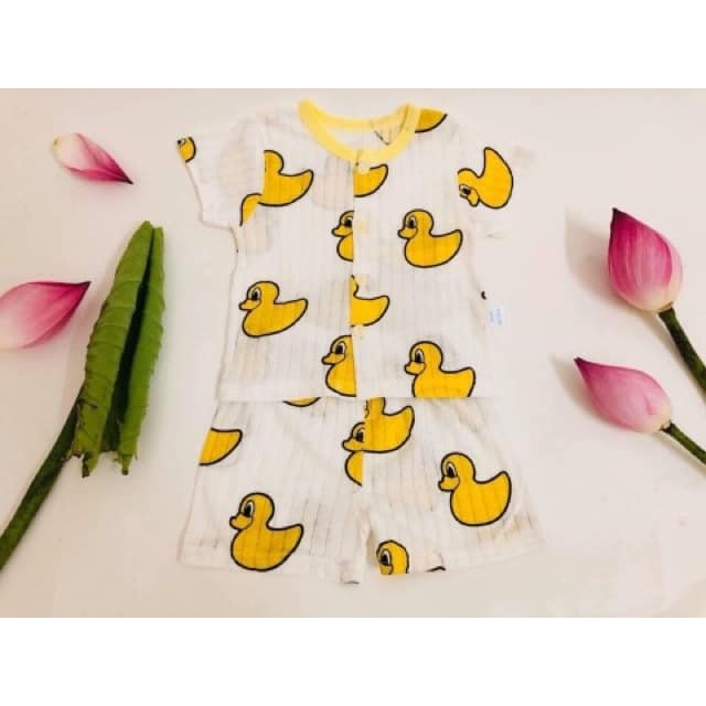 [ XẢ HÀNG ] Combo 4 bộ cotton giấy xuất nhật giá rẻ ( màu ngẫu nhiên )
