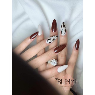 móng úp thiết kế nail box