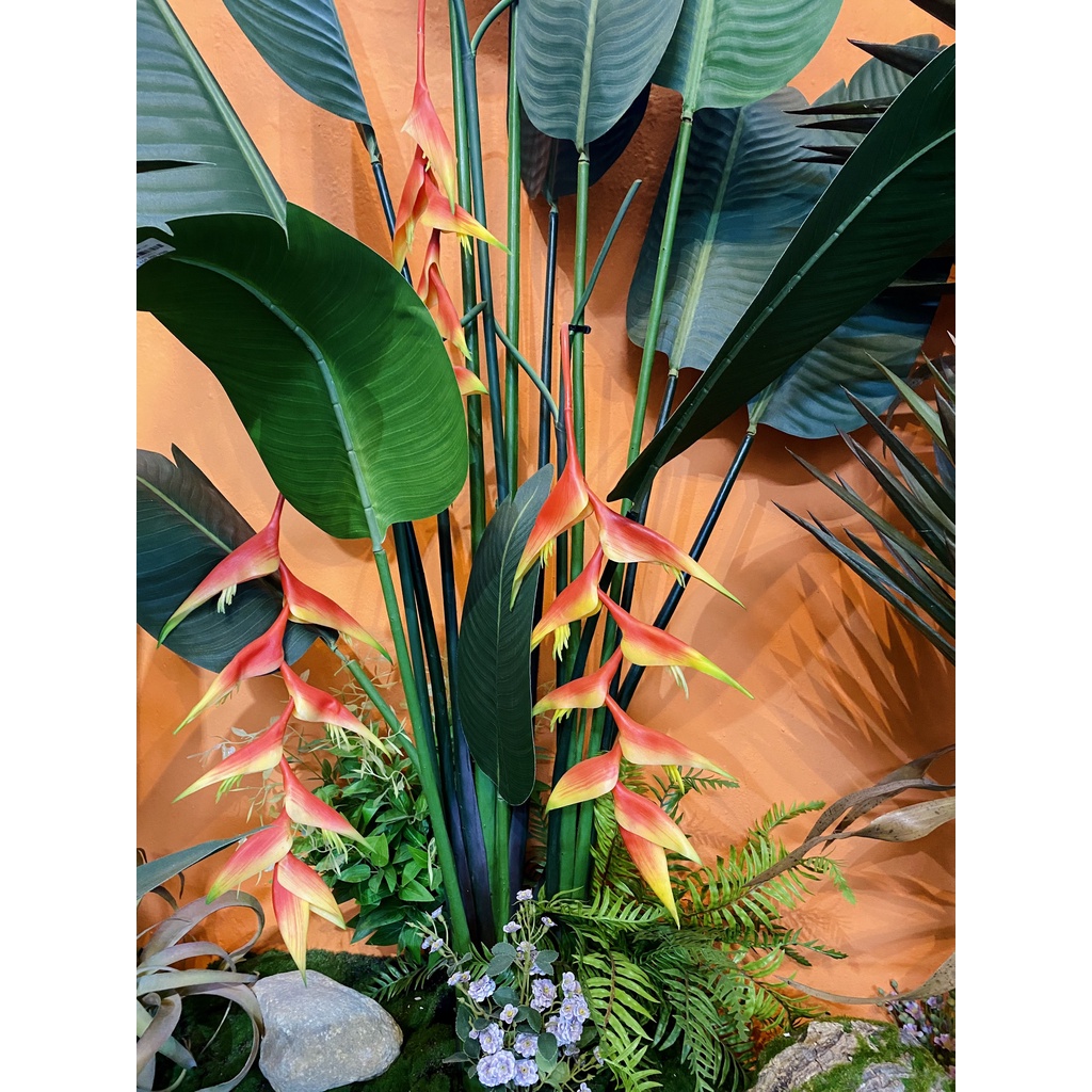 Hoa CHUỐI PHÁO đỏ  - HC0009