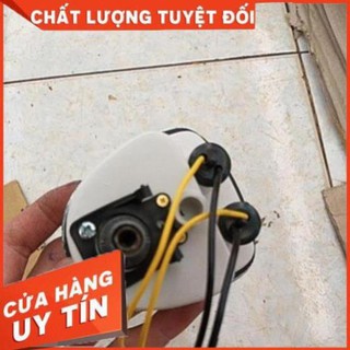 Đồng hồ cúp 81