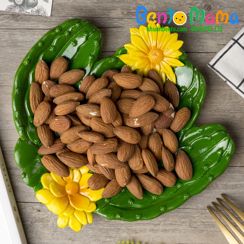 Đĩa xương rồng cây phối hoa