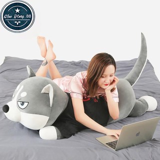 Gấu bông chó husky alaska mặt ngáo cực đẹp size 1m5( cả đuôi ) ( có video và hình ảnh thực)