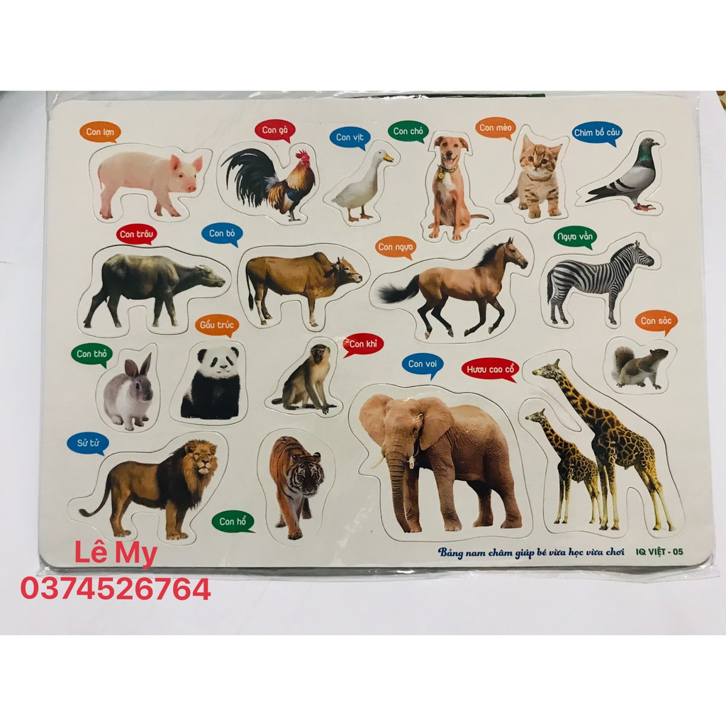 Bảng ghép hình nam châm theo chủ đề